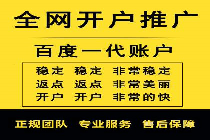 竞价推广代运营：成功案例解析